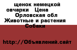 щенок немецкой овчарки › Цена ­ 7 000 - Орловская обл. Животные и растения » Собаки   